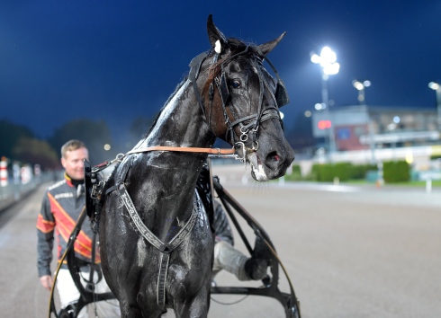 Fredrik B Larsson på väg till vinnarcirkeln efter segern i silverdivisionens final på Solvalla med Milliondollarrhyme. Ulf Ohlsson körde den gången. Foto: Lars Jakobsson, TR Bild Foto av Lars Jakobsson, TR Bild
